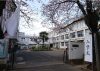 H29.04.06中村小学校入学式正門1