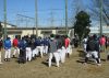 H30.02.18第２９回ソフトボール本大会開会式全景２Ｌ