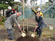 H28.12.20学田公園健康体操の会・植樹式