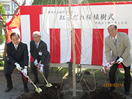 H31.03.18南町小・紅しだれ桜植樹式